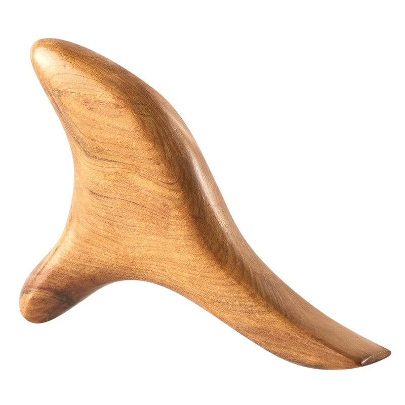 O1CN01UPg43d2LY1nEaKDyv_!!3937219703-0-C2M