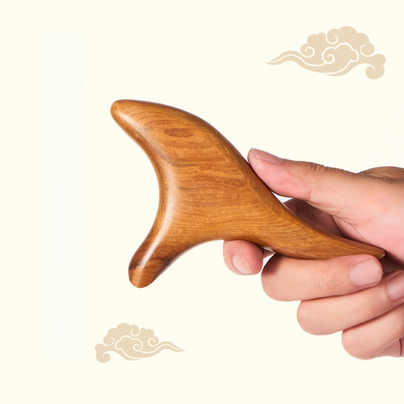 S9565d5eed0f04fc8b83dd9b69ed5e3d8F